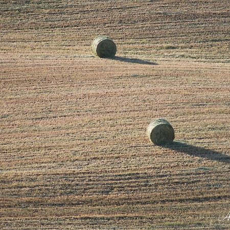 Soleluna San Quirico d'Orcia Bagian luar foto