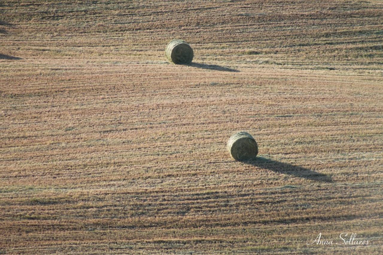 Soleluna San Quirico d'Orcia Bagian luar foto