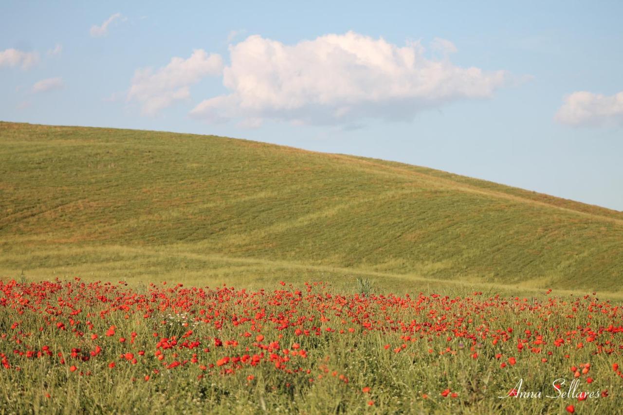 Soleluna San Quirico d'Orcia Bagian luar foto