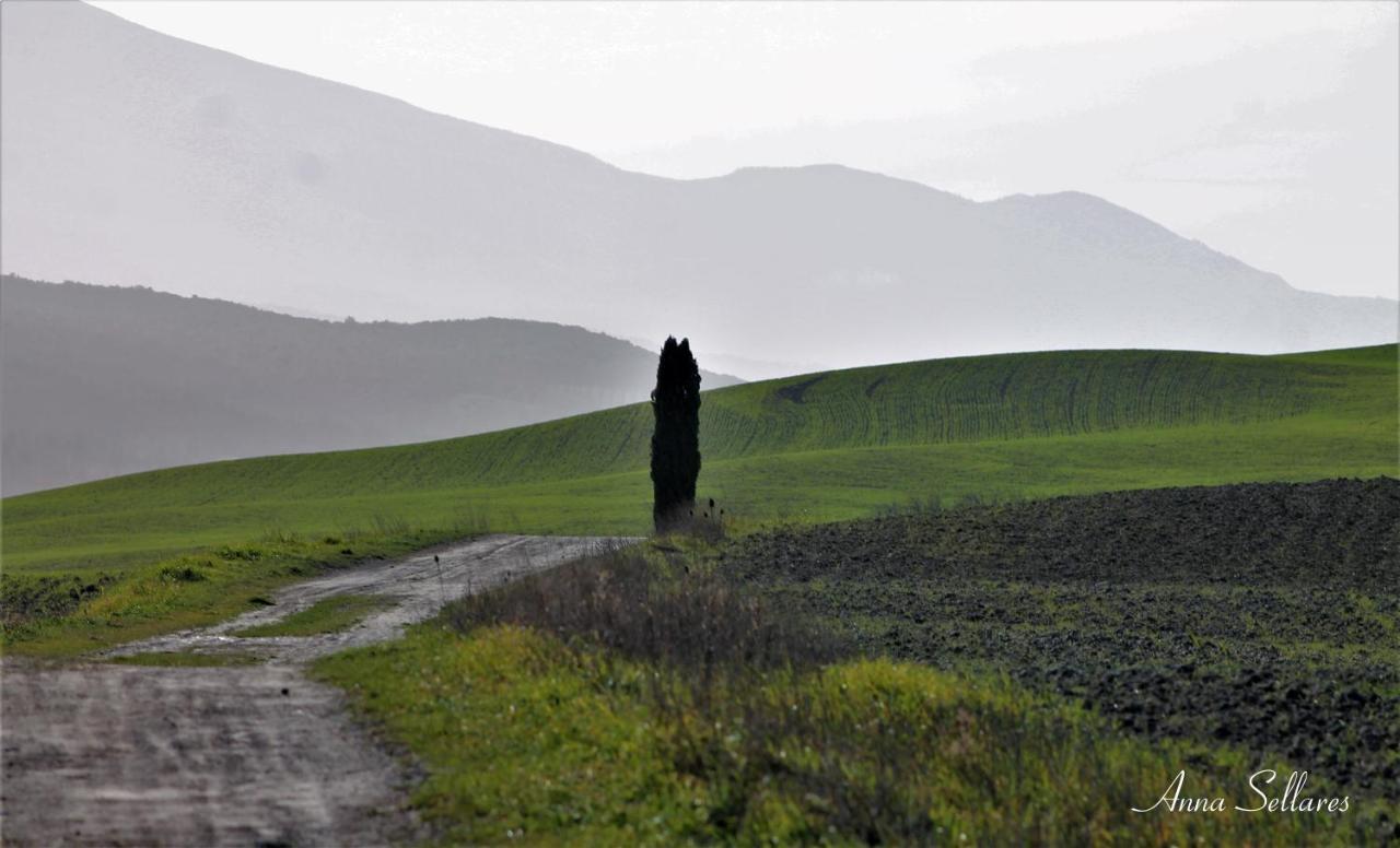 Soleluna San Quirico d'Orcia Bagian luar foto